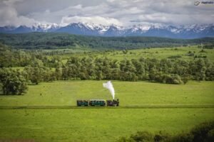 A Rede Lumină din Lumină está crescendo